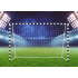 Poarta de fotbal 300x200 cm, structura metalica solida profil 6x3 cm, include plasa, ancore fixare, minge de fotbal [5]