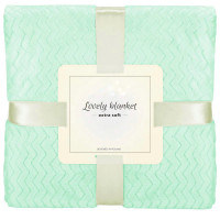 Patura pufoasa pentru 2 persoane, 2 fete, model in relief, 160x220cm, verde Patura pufoasa pentru 2 persoane, 2 fete, model in relief, 160x220cm, verde