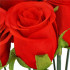Buchet de flori artificiale din poliester, 12 fire trandafiri, 38cm, rosu [9]