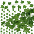 Set 6 ghirlande iedera artificiala pentru decorare, 6x233cm, frunze mari, verde [10]