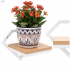 Suport de perete pentru ghiveci si plante decorative, cu polita din MDF si structura metalica rezistenta, montaj usor cu accesorii incluse, maxim 10 k [16]