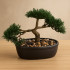 Bonsai artificial Atmosphera in ghiveci ceramic cu pietricele decorative, 23 cm, verde [6]