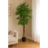 Ficus artificial Atmosphera in ghiveci decorativ, 185 cm, verde [4]