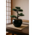 Bonsai artificial Atmosphera in ghiveci ceramic cu pietricele decorative, 36 cm, verde [4]