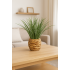 Planta decorativa Atmosphera, iarba in ghiveci impletit, 18x46 cm, maro natur [4]