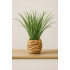 Planta decorativa Atmosphera, iarba in ghiveci impletit, 18x46 cm, maro natur [6]