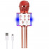 Microfon karaoke copii, wireless, cu acumulator, compatibil iOS si Android, functie de schimbare a vocii, roz [13]