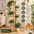 Suport pentru plante si ghivece cu 6 niveluri, din bambus natural, design vertical cu rafturi asimetrice pentru expunerea plantelor la diferite inalti [3]
