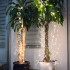 Ghirlanda luminoasa liniara 100 LED-uri, 1.5m, incarcare solara [6]