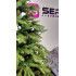 Brad artificial Christmas Deluxe by Sersimo, Nature, 2D+3D, 230cm [12]