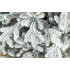 Brad artificial Christmas Deluxe by Sersimo, Alpin Select nins, integral 3D, 300cm [18]