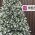 Brad artificial Christmas Deluxe by Sersimo, Polar Winter Select, integral 3D, 230 cm [3]