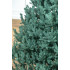 Brad artificial Christmas Deluxe by Sersimo, Viena Select argintiu, integral 3D, 230cm [20]