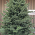 Brad artificial Christmas Deluxe by Sersimo, Viena Select, integral 3D, 210cm [3]