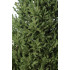 Brad artificial Christmas Deluxe by Sersimo, Viena Select, integral 3D, 210cm [14]