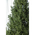 Brad artificial Christmas Deluxe by Sersimo, Viena Select, integral 3D, 210cm [15]