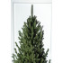 Brad artificial Christmas Deluxe by Sersimo, Viena Select, integral 3D, 230cm [2]