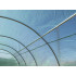 Sera de gradina, tip tunel cu cadru metalic, 500x1000cm, verde, 50mp, usa cu cadru metalic [5]