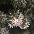 Brad artificial Christmas Deluxe by Sersimo, Crystal nins cu merisoare, 2D, 150cm [15]