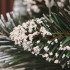 Brad artificial Christmas Deluxe by Sersimo, Crystal nins cu merisoare, 2D, 150cm [18]