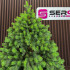 Brad artificial Sersimo, Hollandia, verde cu varfuri verzi, integral 3D, 210 cm [3]