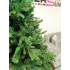 Brad artificial Christmas Deluxe by Sersimo, Royal Felara, 2D+3D, 210cm [19]