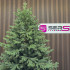Brad artificial Christmas Deluxe by Sersimo, Royal Felara, 2D+3D, 230cm [23]