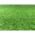 Covor Iarba Artificiala, Tip Gazon, Verde, 20 mm, 5 mp, 100×500 cm [18]