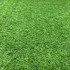 Covor Iarba Artificiala, Tip Gazon, Verde, 20 mm, 10 mp, 200×500 cm [15]