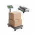 Cantar electronic cu platforma, Capacitate 300 kg, Afisaj LED, Precizie 50g, Dimensiune 670 x 400 x 840 mm, Pliabil [8]