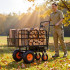 Carucior electric 500 W, 4 x Roti, 36 V, 432 Wh, Capacitate max 300 kg, Basculabil [4]