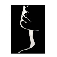 Decoratiune tablou de perete, metalica Krodesign Women Face, 38x27 cm, negru Decoratiune tablou de perete, metalica Krodesign Women Face, 38x27 cm, negru