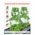 Set 2 spaliere pentru castraveti, plante agatatoare, 100x80, Pliabil [7]