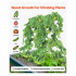Set 2 spaliere pentru castraveti, plante agatatoare, 90 x 140 cm, Pliabil, 24 x Cleme de fixare [6]