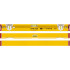 R300 de 100 cm, nivela profesionala cu 3 bule, Stabila [22]