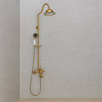 Coloana Dus, Alama Sanitara, Auriu, WZY/310/B