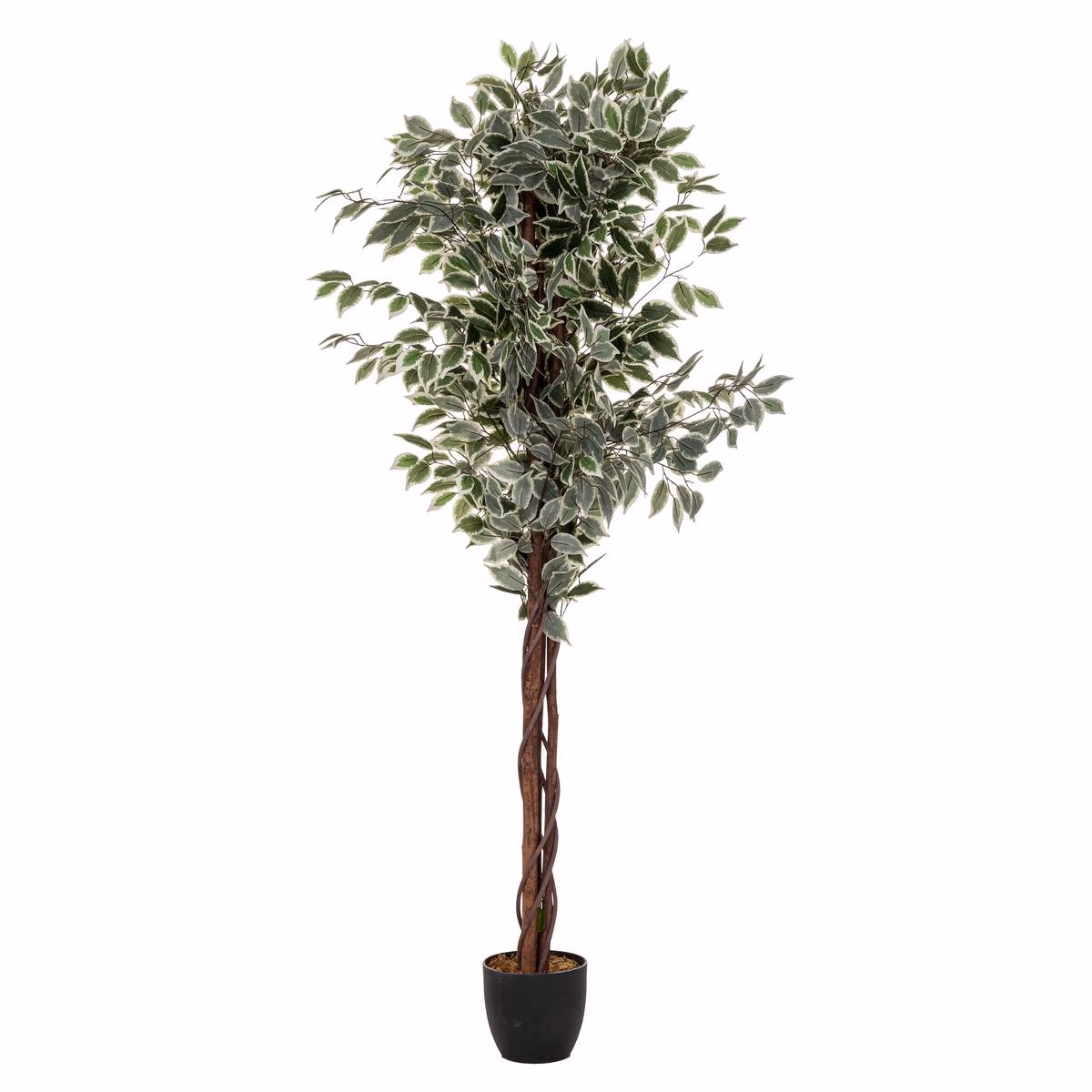 Planta artificiala Atmosphera Ficus cu ghiveci, 97x86x185 cm, verde in doua nunante Planta artificiala Atmosphera Ficus cu ghiveci, 97x86x185 cm, verde in doua nunante